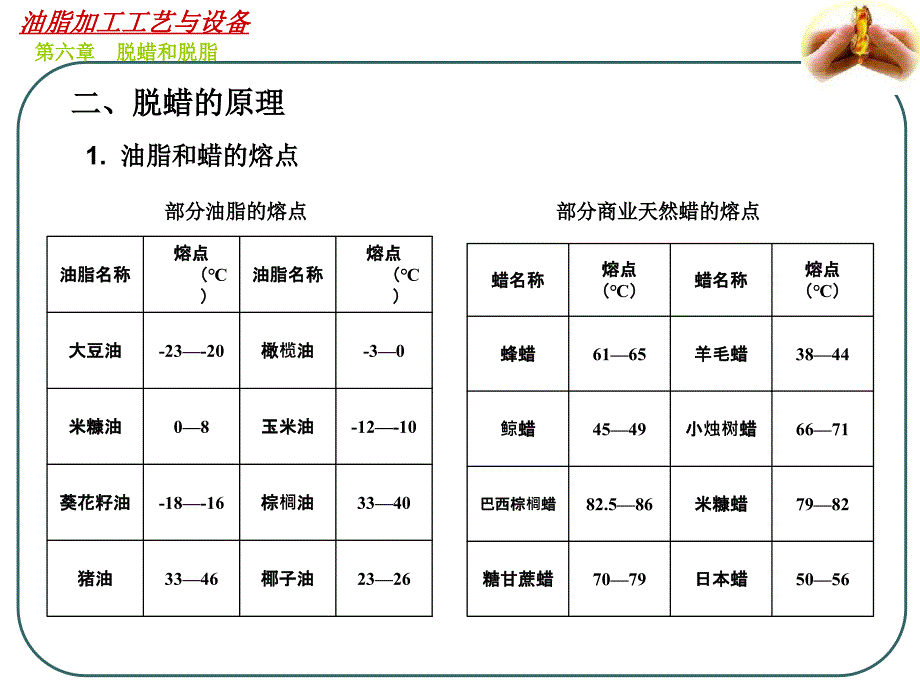 油脂加工工艺与设备——第六章[40页]_第4页