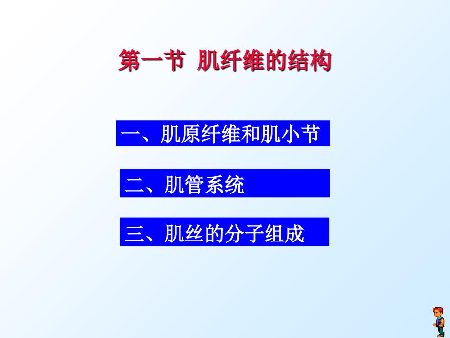 运动生理 骨骼肌机能课件_第2页