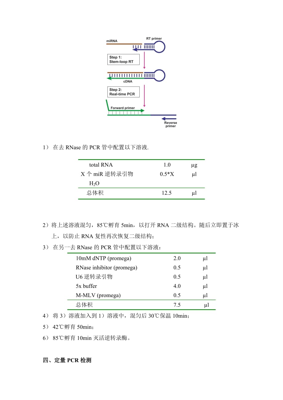 qPCR实验操作流程.doc_第4页