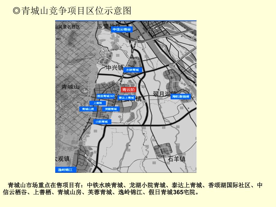 都江堰青城山项目市场分析及建议(含竞品项目分析)课件_第2页