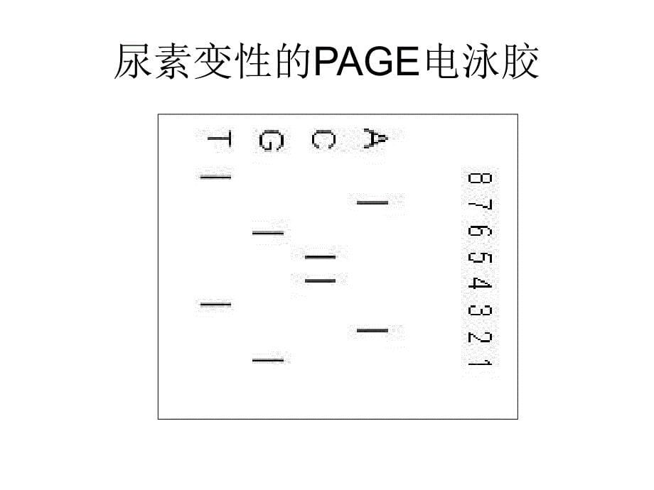 第三代的纳米芯片测序技术课件_第5页