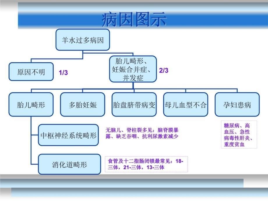 羊水过多过少1培训课件_第5页