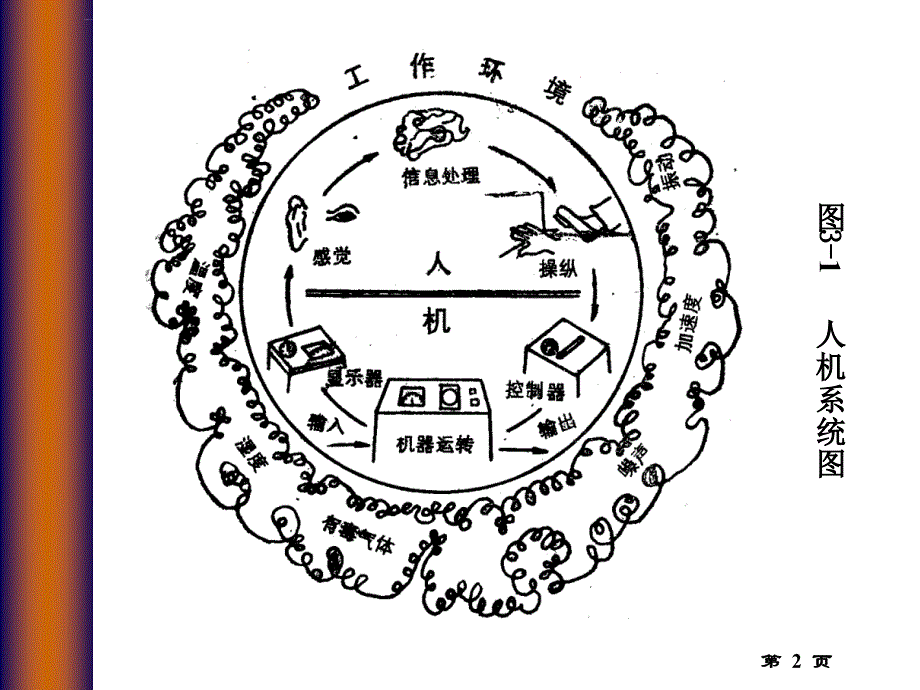 第三章 人的生理和心理及生物力学特性课件_第2页