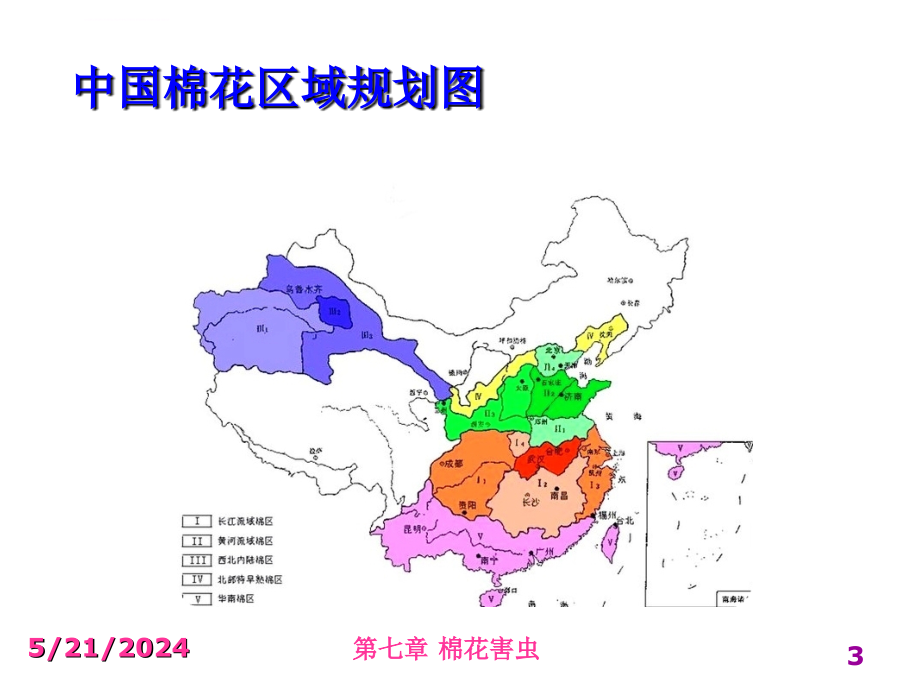 第三章棉花害虫课件_第3页