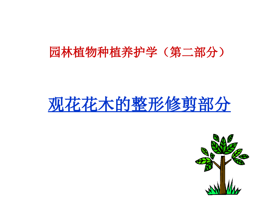 园林植物种植养护学观花花木的整形修剪技术讲解学习_第1页