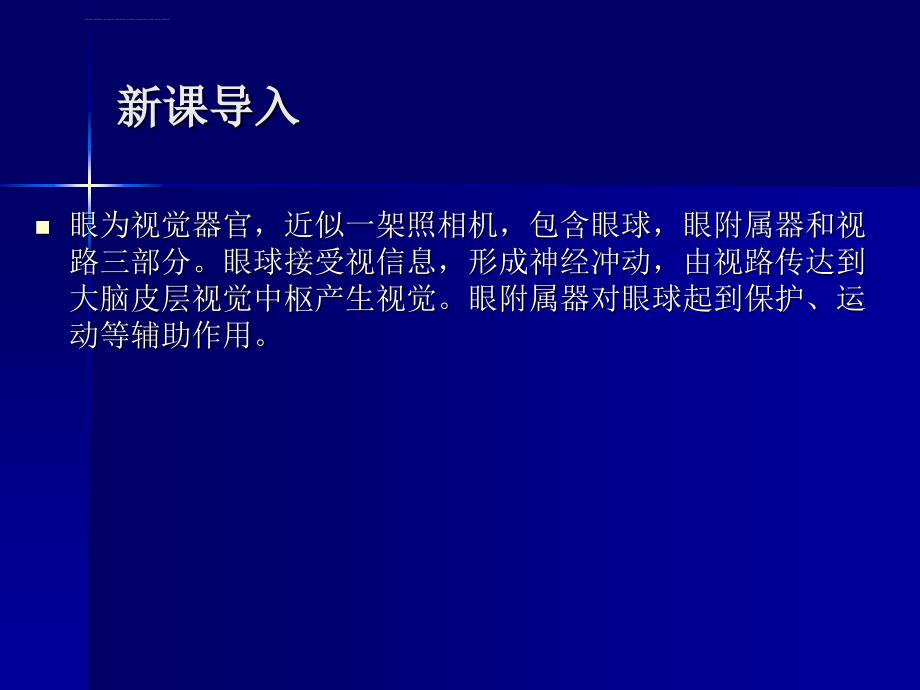 第一章 眼的应用解剖课件_第4页