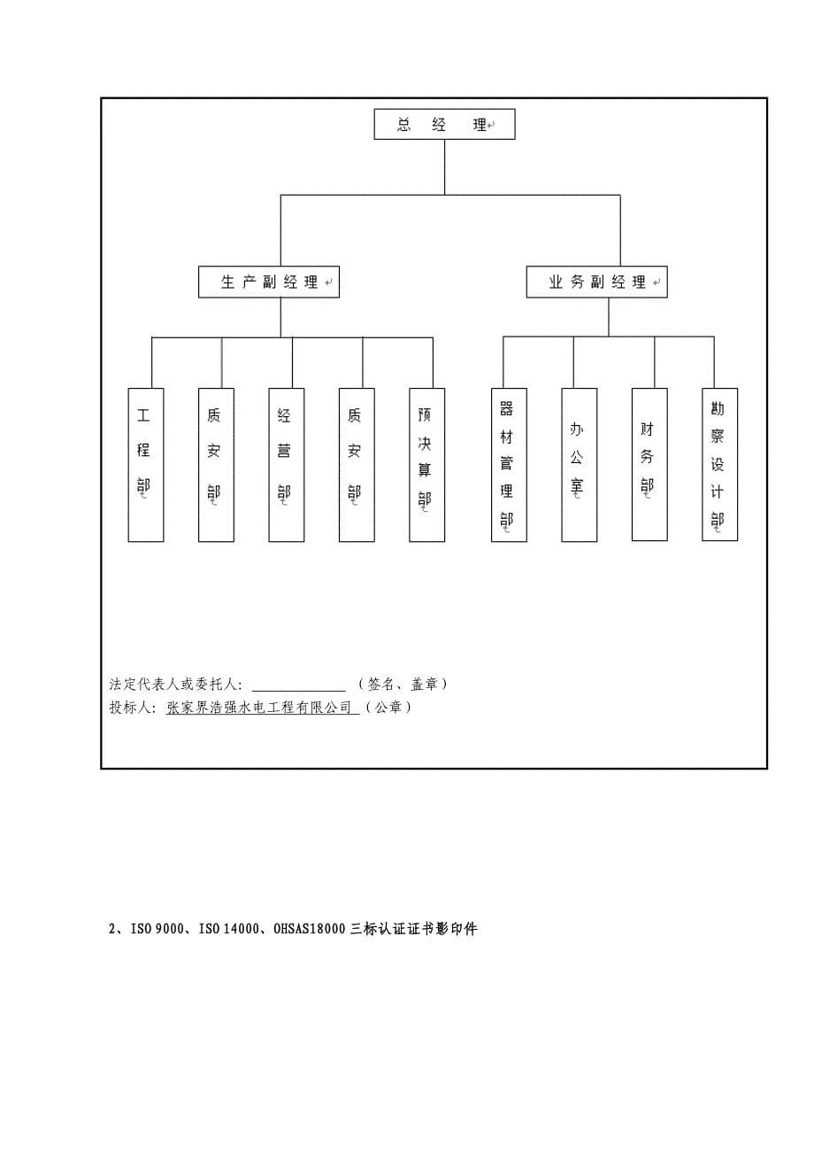 标书投标农网改造投标文件技术标_第5页