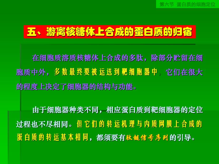 游离核糖体上合成的蛋白质的归宿_第1页