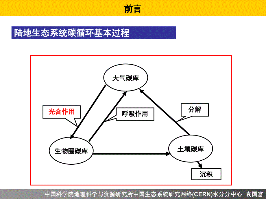 第九讲_碳交换_课件_第4页