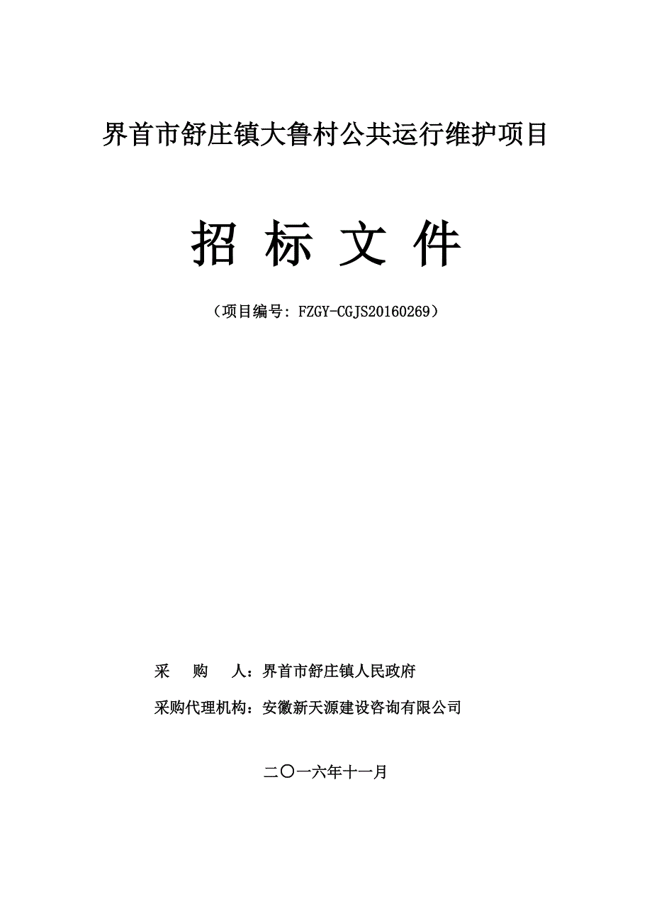 标书投标某村公共运行维护项目招标文件_第1页