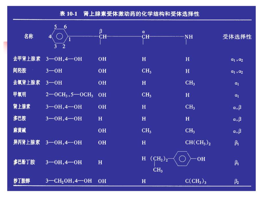 第十章 肾上腺素受体激动药课件_第2页