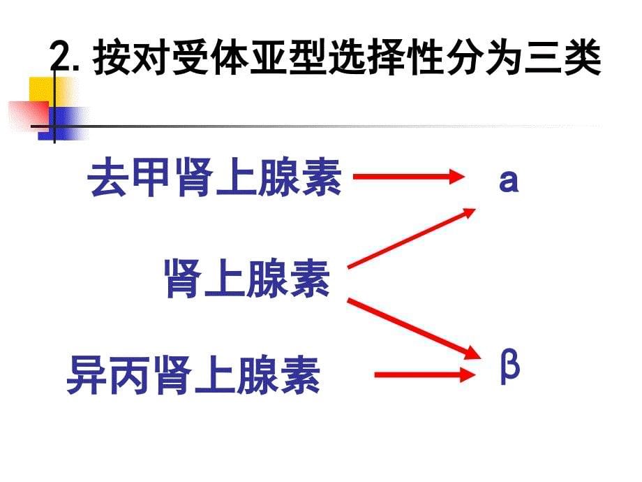 第十章 肾上腺素受体激动药课件_第5页