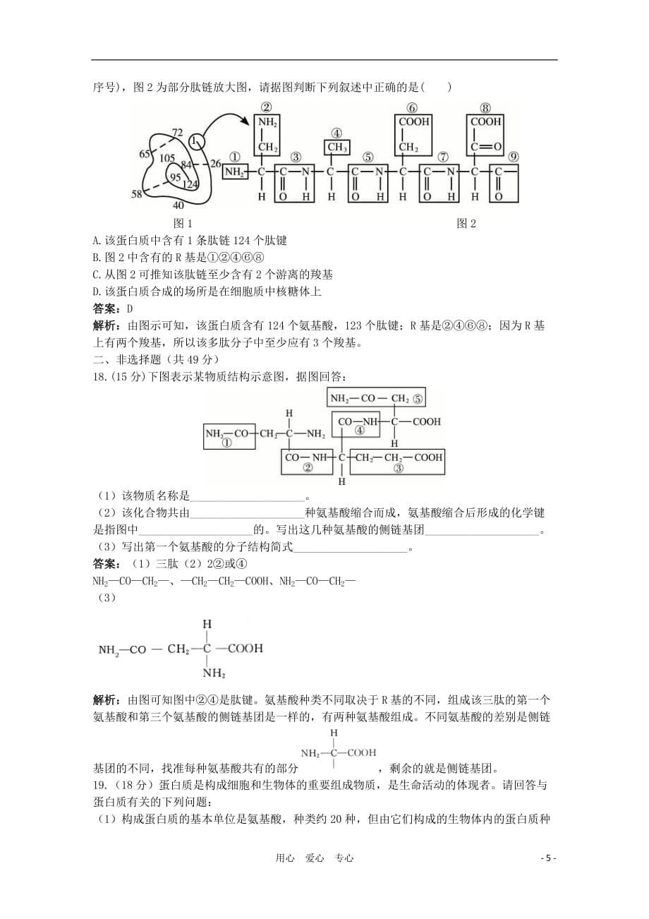 高考生物一轮考点训练3 蛋白质的结构和功能（详细解析） 大纲人教版.doc_第5页