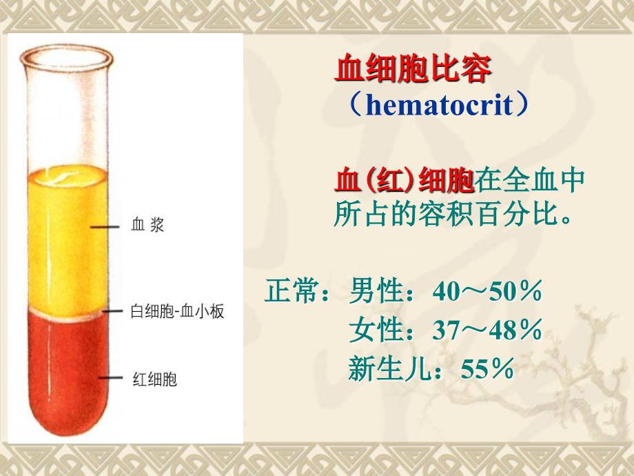 第四章血液课件_第4页