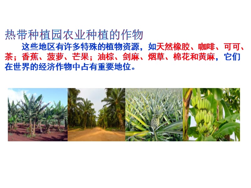 热带种植园农业、迁移农业_第2页