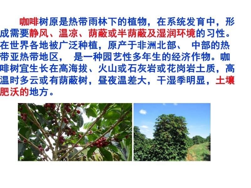 热带种植园农业、迁移农业_第5页