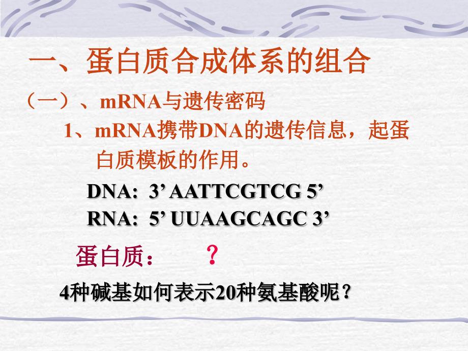 第十章蛋白质的生物合成课件_第3页