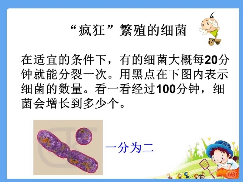 五年级下册科学课件3.3微生物怎样生活1湘教10_第3页