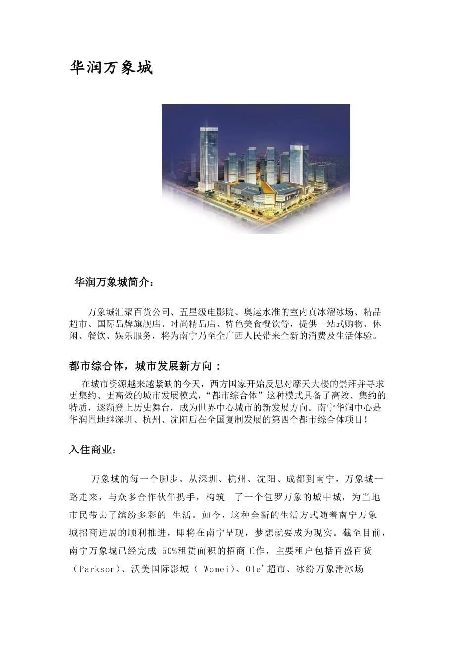 管理诊断调查问卷东盟商务区商业市场调查报告范本_第5页