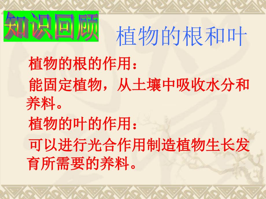 教科版三年级科学下册第一单元第五课_茎越长越高PPT(含课堂作业)_第2页