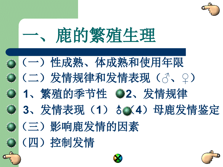 第三讲 鹿的繁殖_第4页