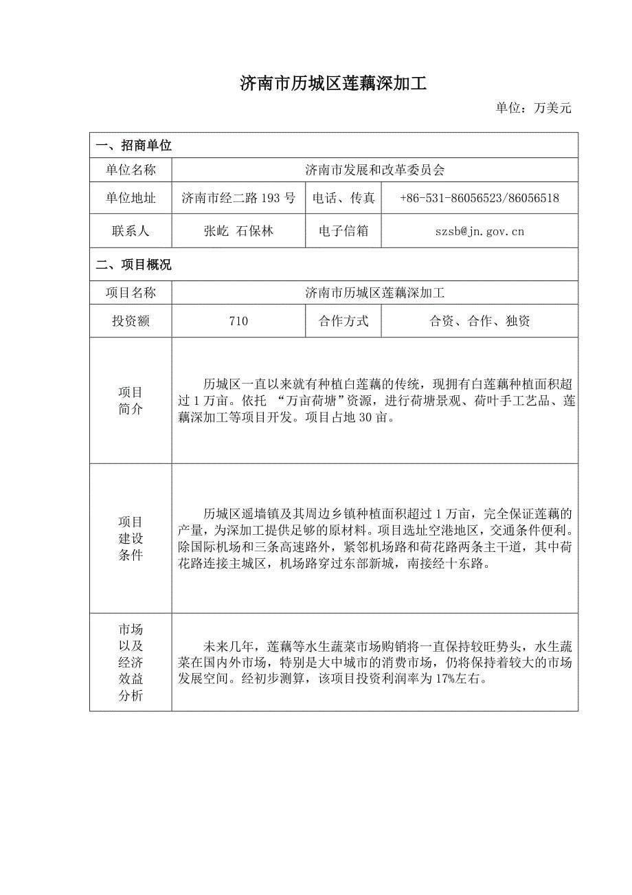 招商策划某市市对外招商项目目录_第5页