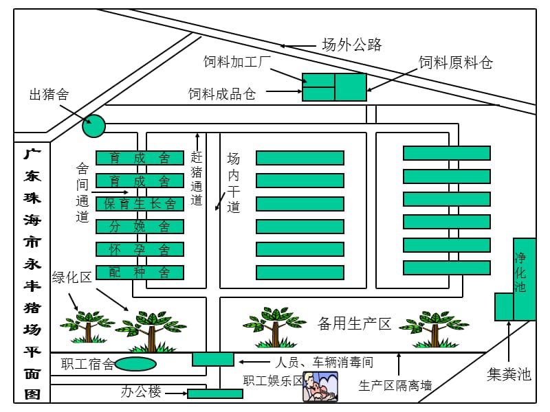 大型规模化猪场平面示意图集_第1页