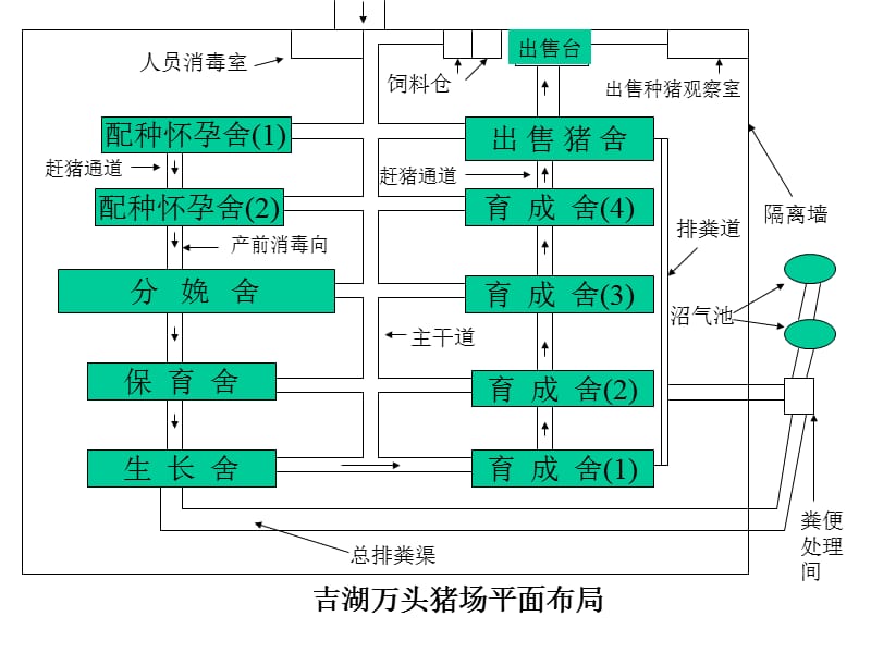 大型规模化猪场平面示意图集_第3页