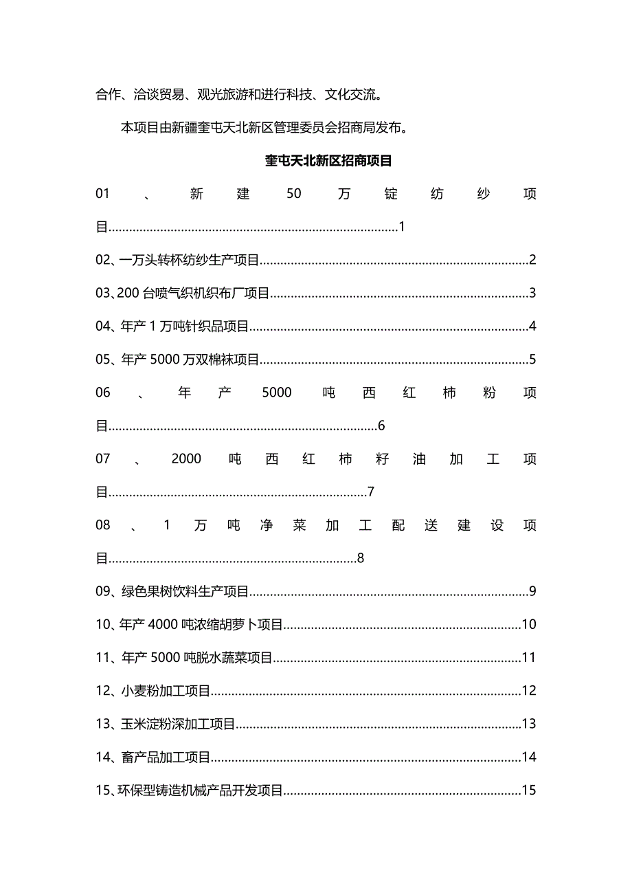 招商策划新疆奎屯天北新区招商项目策划书_第2页