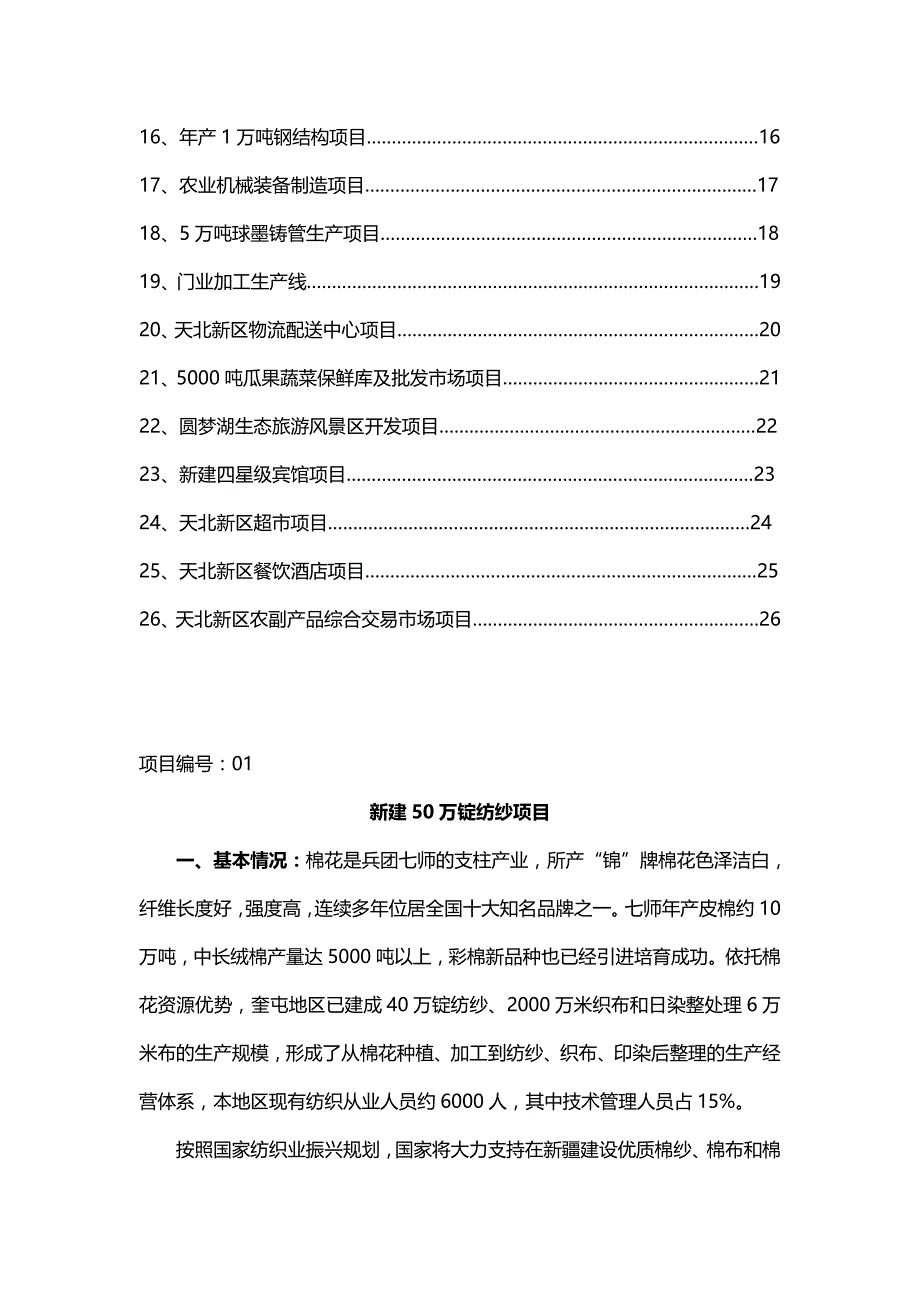 招商策划新疆奎屯天北新区招商项目策划书_第3页