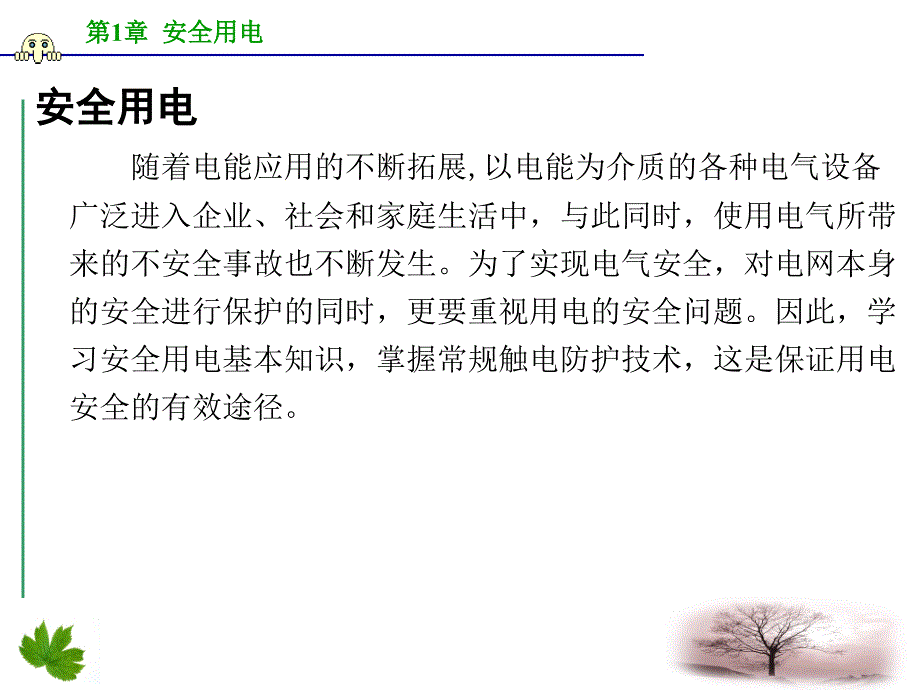 第九课时安全用电(二)课件_第2页