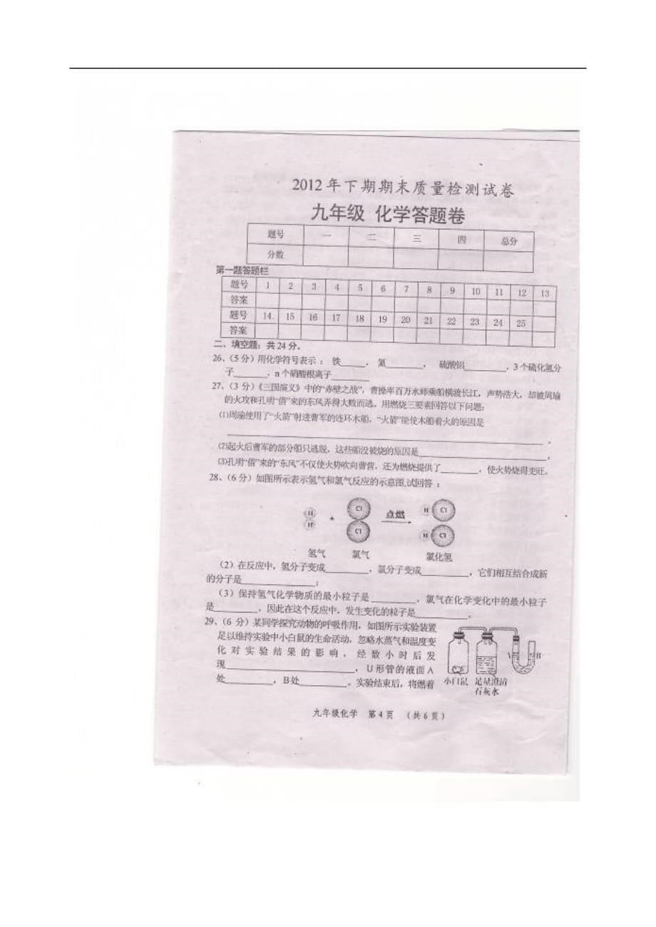 湖南省怀化市2012年九年级化学下学期期末质量检测试题（扫描版无答案） 湘教版.doc_第5页