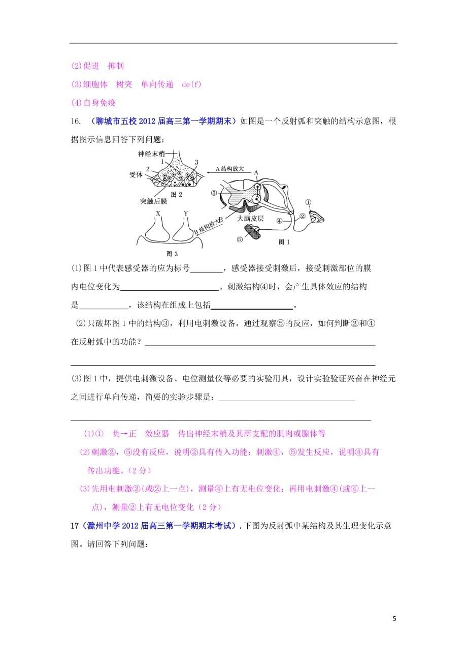 2013届高三生物一轮复习 稳态与环境 2.1 通过神经系统的调节课时训练 新人教版.doc_第5页