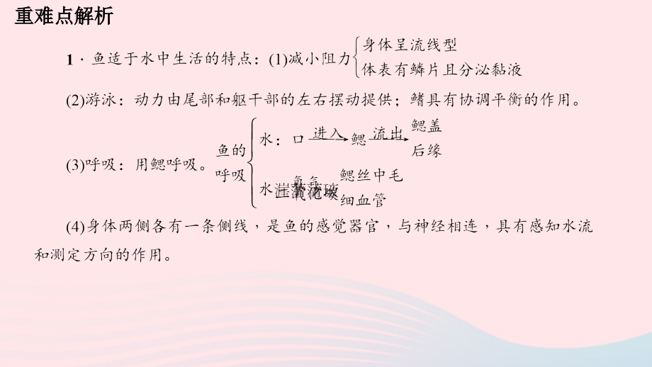 鲁科教习题课件淄博一中八年级生物上册第五单元第一章第四节鱼48_第3页