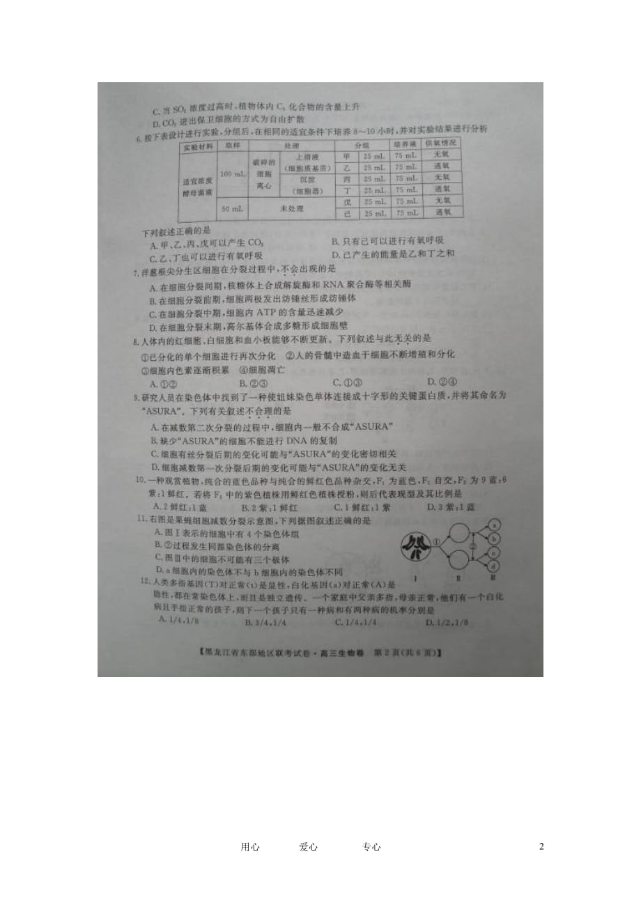 黑龙江省东部地区2013届高三生物10月联考试题（扫描版）新人教版.doc_第2页