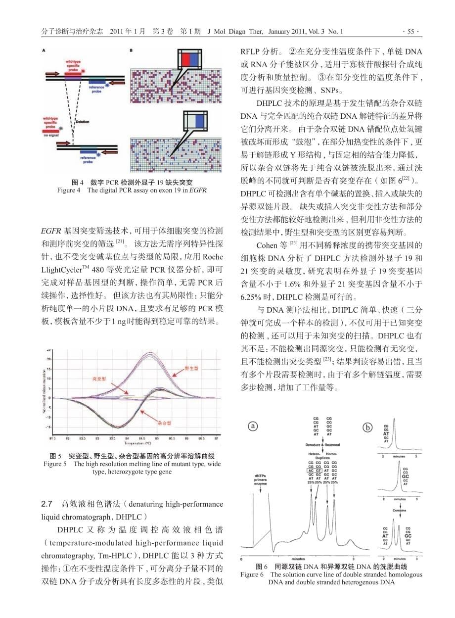 EGFR基因突变及其检测方法的研究进展.pdf_第5页