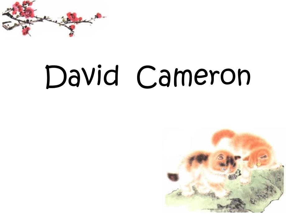 介绍英国首相David Cameron的英文_第1页