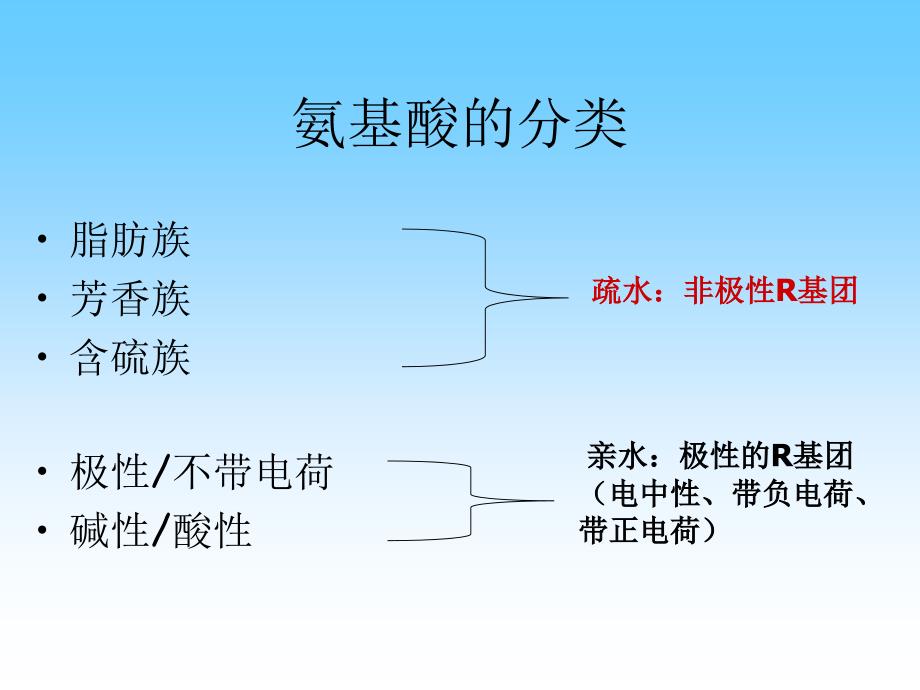 氨基酸的结构与功能研究报告_第4页