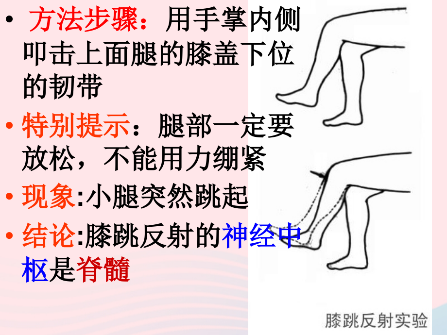 人教江苏省一中七年级生物下册4.6.3神经调节的基本方式课件159_第4页