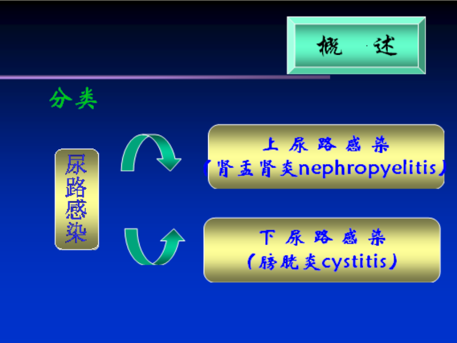 尿路感染(urinary教学教材_第4页