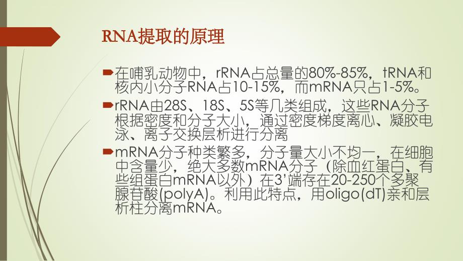 人类细胞质、RT-PCR的原理、方法、琼脂糖凝胶电泳结果分析及其应用_第3页