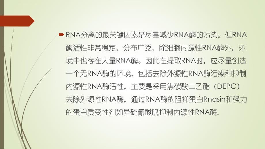 人类细胞质、RT-PCR的原理、方法、琼脂糖凝胶电泳结果分析及其应用_第4页