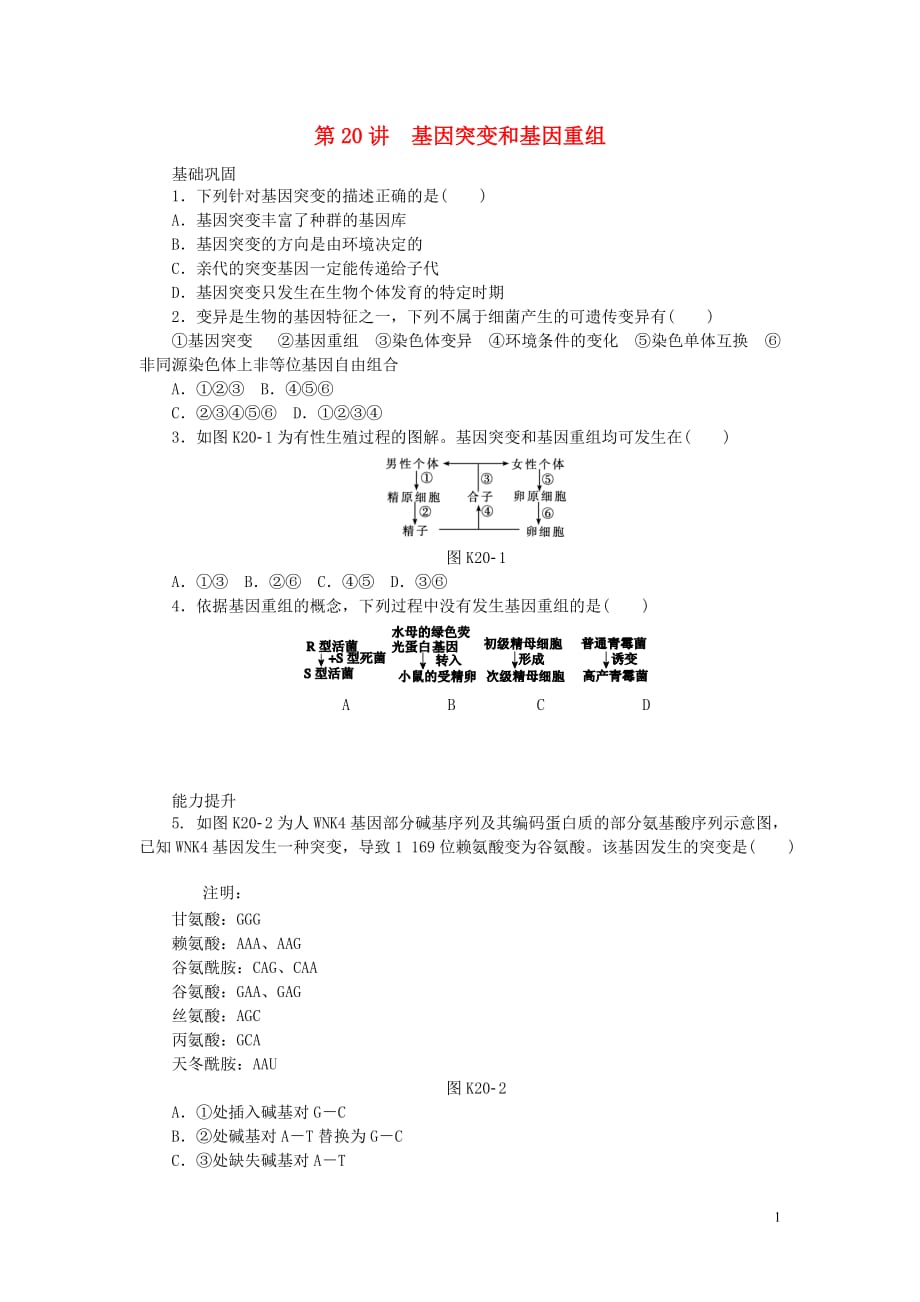 2014届高三生物一轮复习 专讲专练（基础巩固 能力提升 挑战自我）第20讲 基因突变和基因重组（含详解） 新人教版.doc_第1页