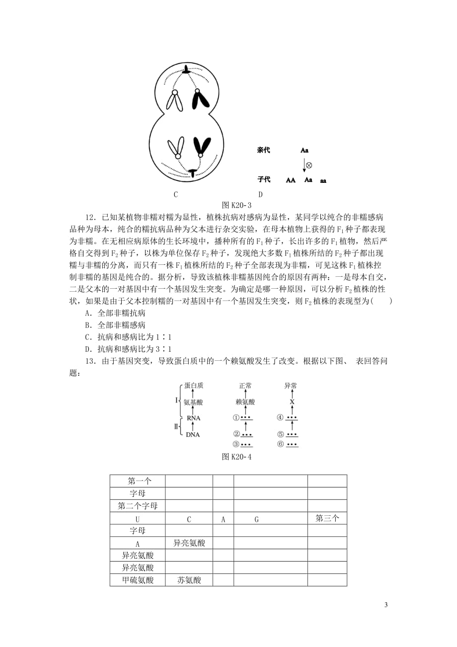 2014届高三生物一轮复习 专讲专练（基础巩固 能力提升 挑战自我）第20讲 基因突变和基因重组（含详解） 新人教版.doc_第3页