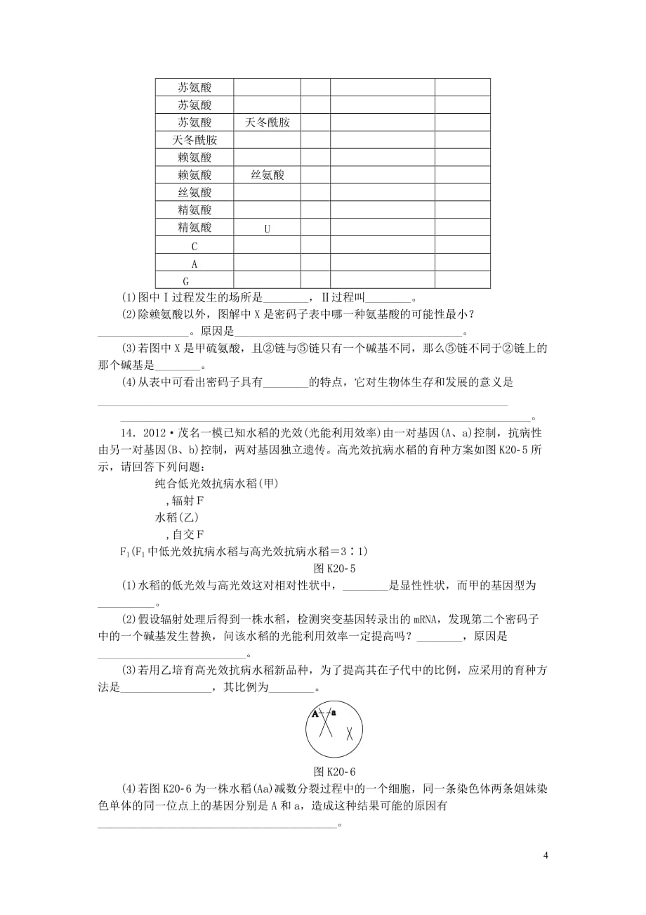 2014届高三生物一轮复习 专讲专练（基础巩固 能力提升 挑战自我）第20讲 基因突变和基因重组（含详解） 新人教版.doc_第4页