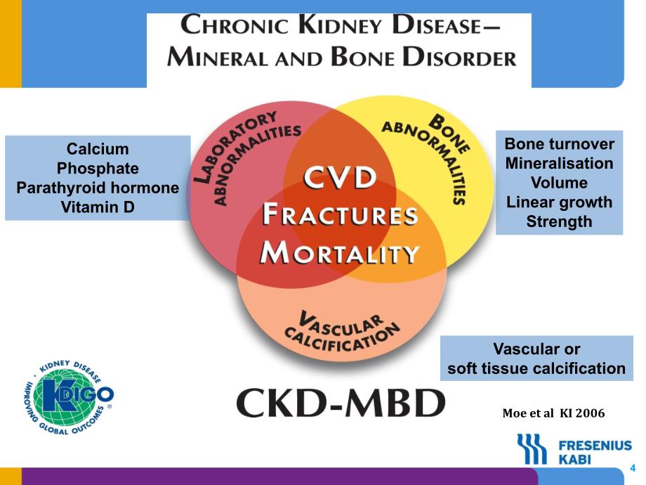 CKD-MBD的诊治_第4页
