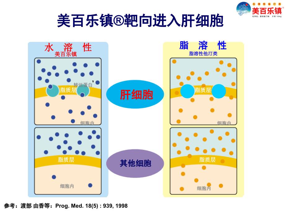 美白乐镇产品介绍(新)教学教材_第4页