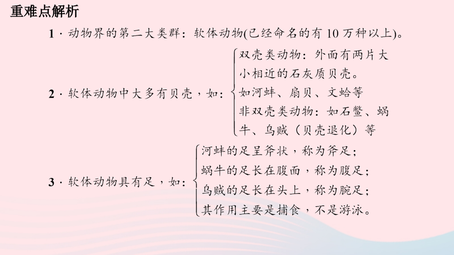 鲁科教习题课件淄博一中八年级生物上册第五单元第一章第三节软体动物和节肢动物第1课时软体动物50_第3页