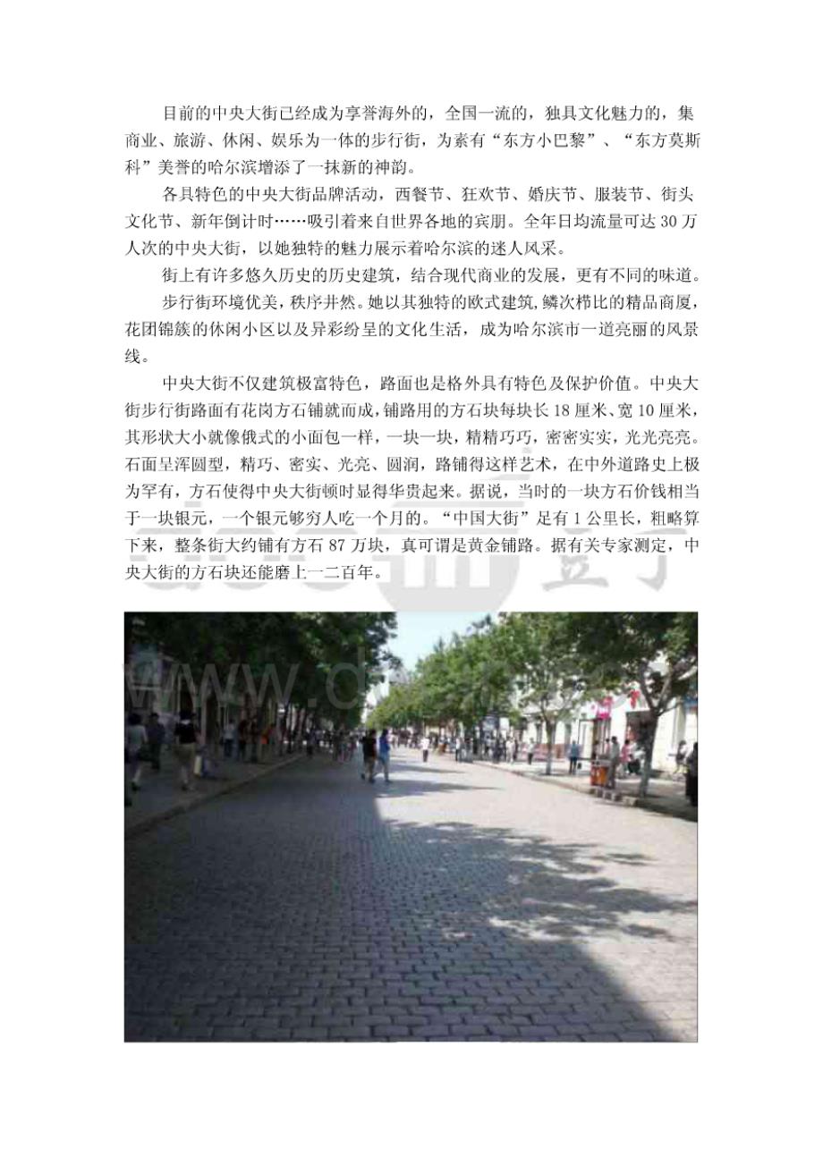 哈尔滨中央大街调研报告 [共16页]_第3页