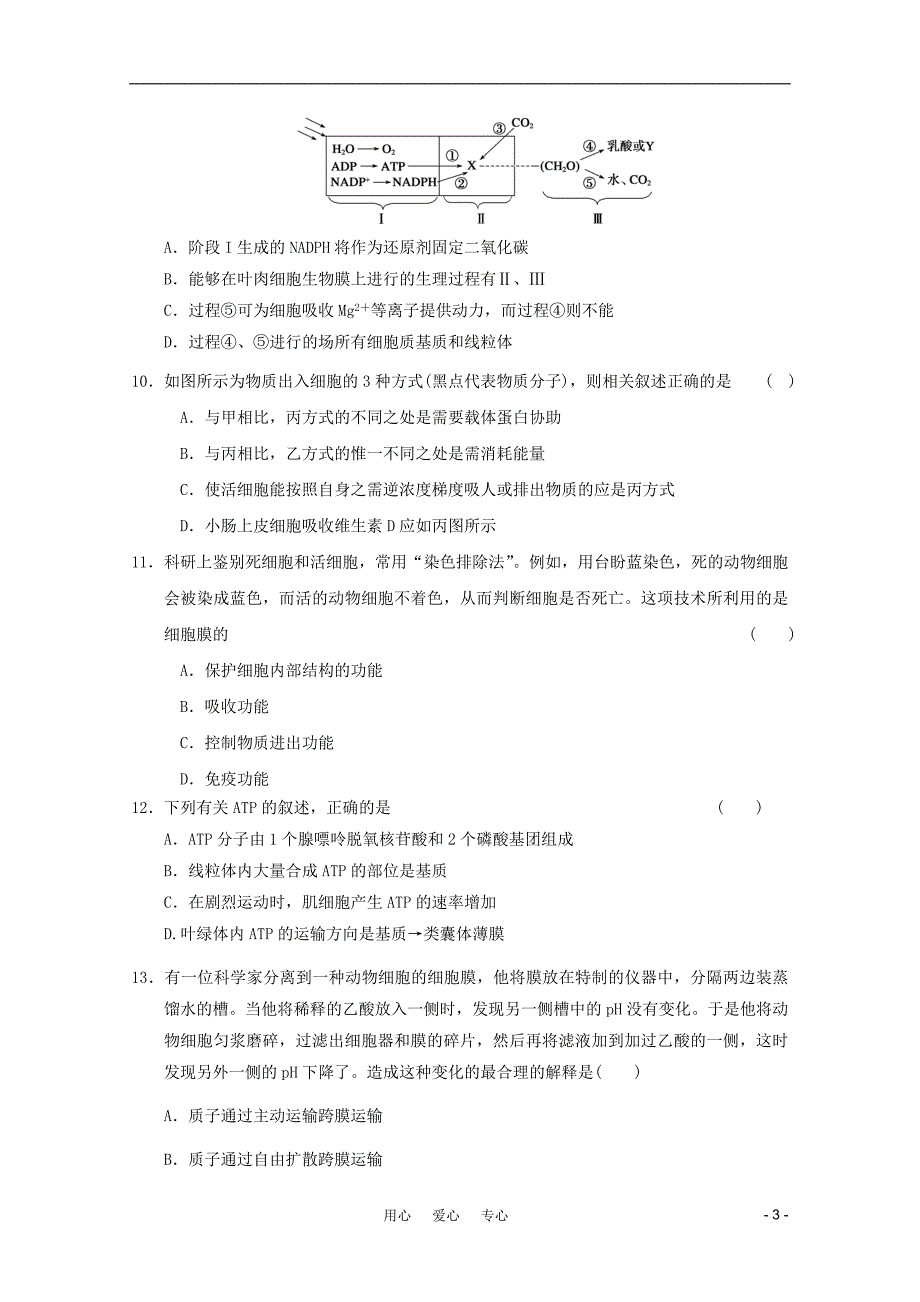 2011高中生物 第4章细胞的物质输入和输出章综合训练（5）新人教版必修1.doc_第3页